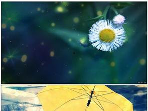 可惜不是你背景视频,可惜不是你，陪我走过青春岁月